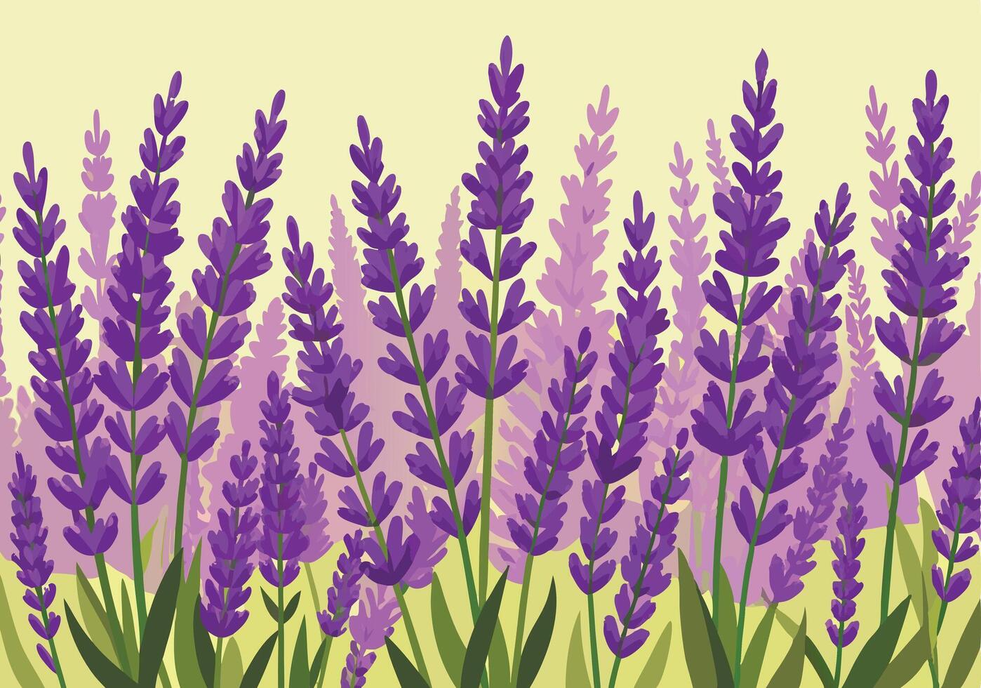 Vibrant Purple Lavender Field, Blooming Flowers, Nature Scenery vector