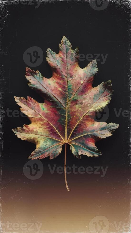 A leaf with a colorful pattern on it photo