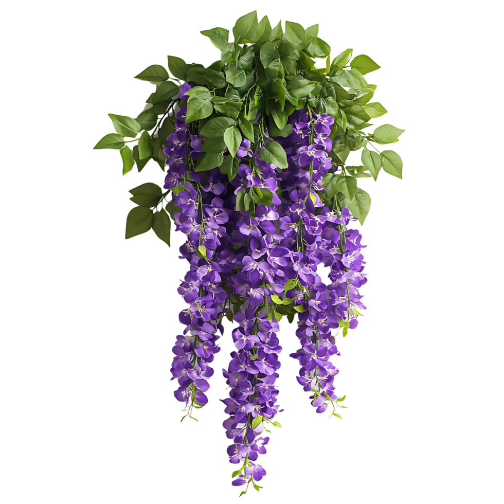 Lush Purple Cascading Flowers with Green Leaves Isolated on Transparent Background png