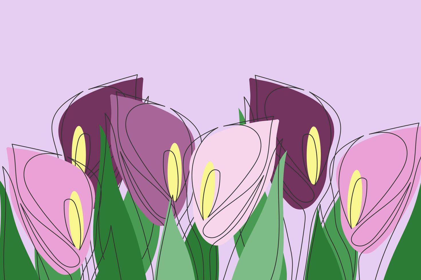 Illustration with lilac calla lilies vector