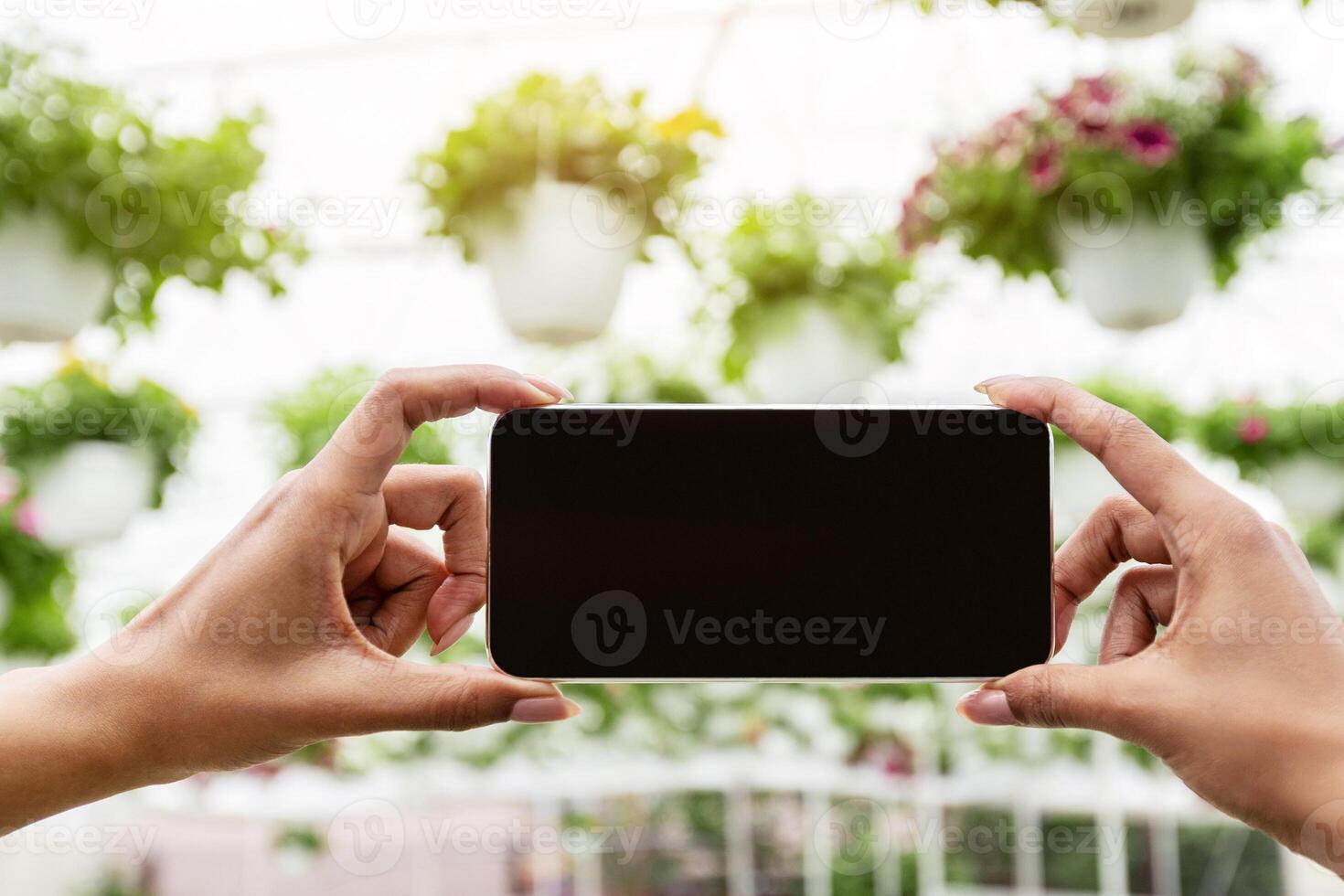 Modern technologies in floristry. Hands of african american girl with smart watch holding smartphone with empty screen in greenhouse, with flowers in pots background, pov, free space photo