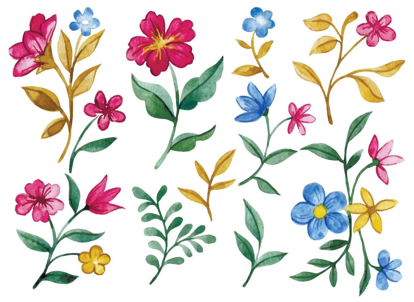 Watercolor set with bright wild flowers and branches vector