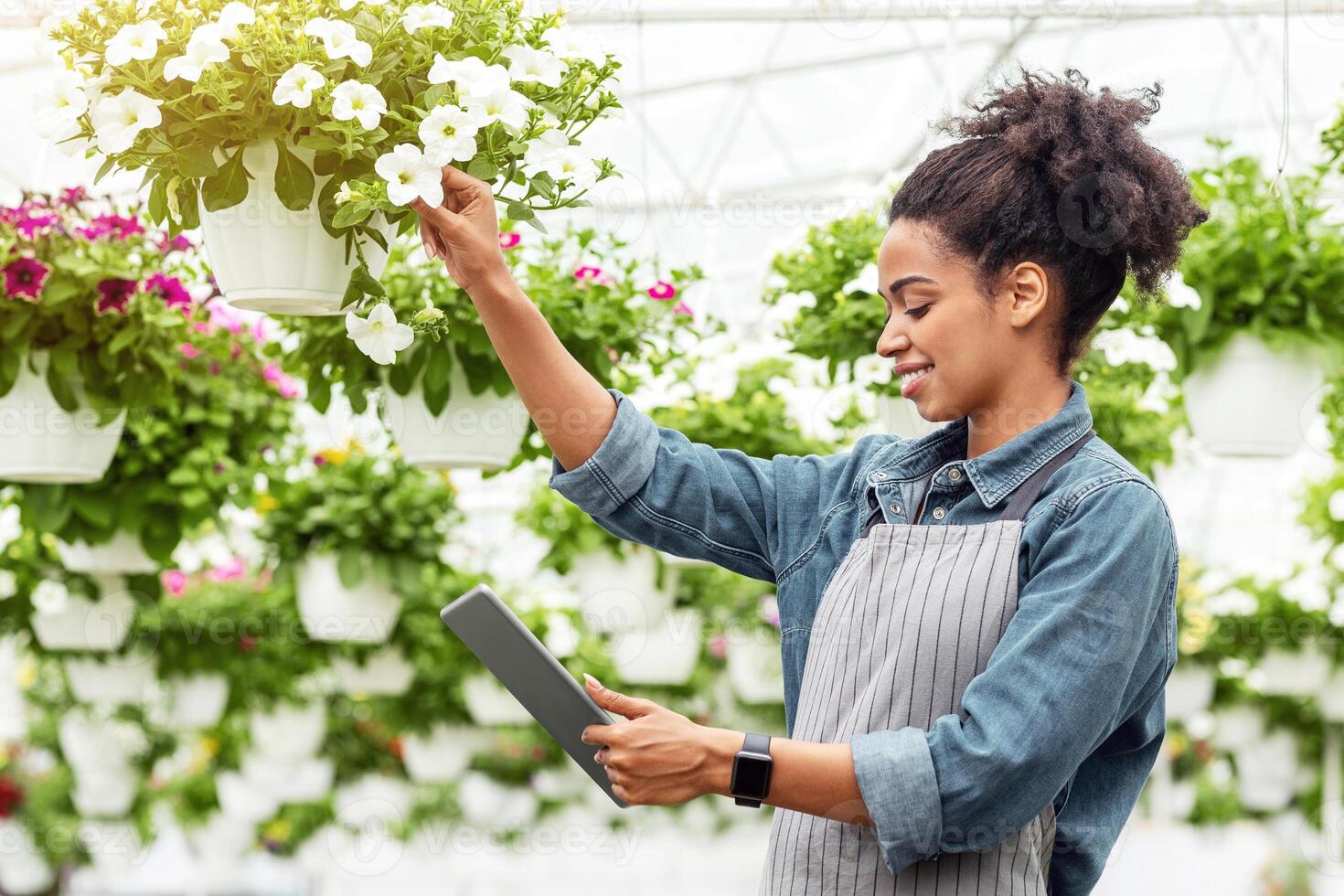 Plant quality control and digital devices. Smiling african american woman checking flowers and looking at digital tablet in daylight in greenhouse, free space photo