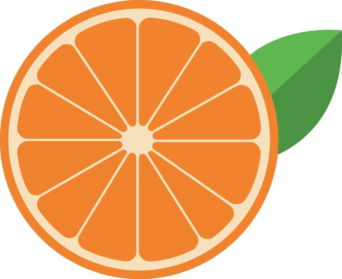 Fresh orange fruit sliced revealing vibrant segments in a minimal flat design art vector