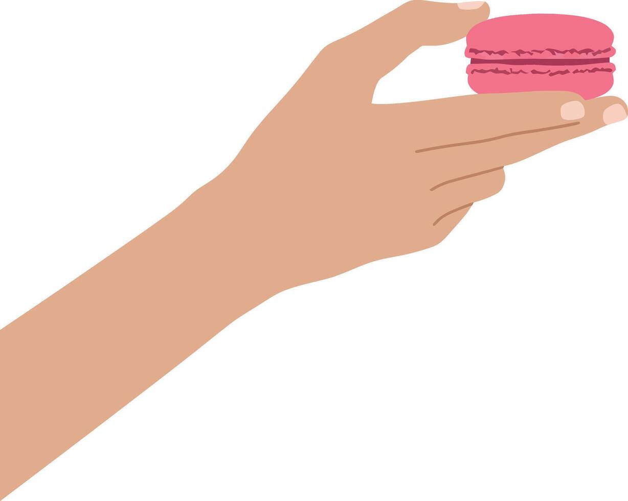 A hand delicately holding a pink macaron in a minimal flat illustration vector
