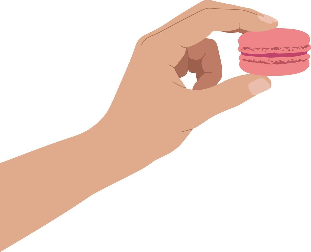 Hand holding a pink macaron pastry in a minimal flat illustration vector
