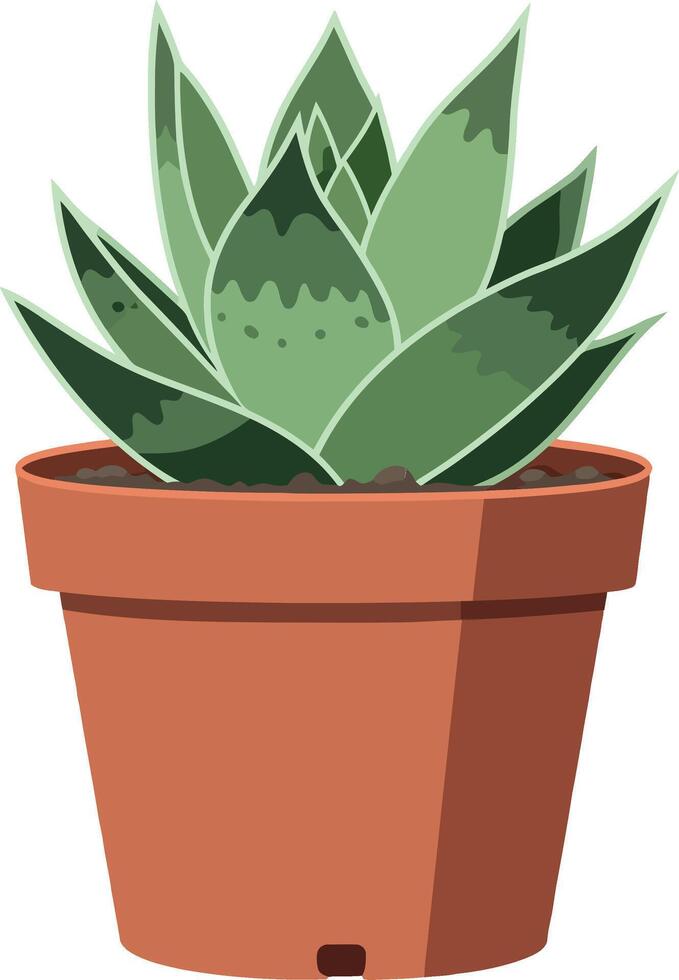 Green succulent plant in a terracotta pot with a minimal flat design style illustration vector