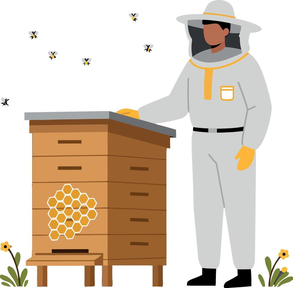 Beekeeper in protective suit tending to beehive with bees flying around in flat illustration vector