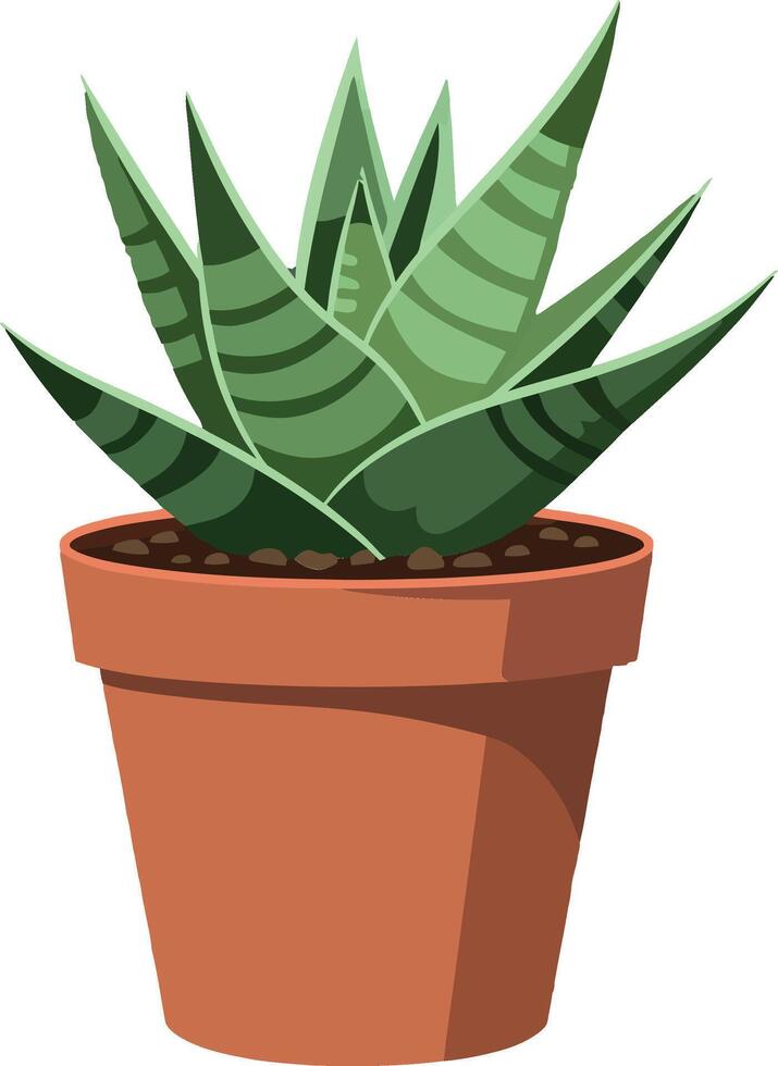 Green succulent plant in a terracotta pot, flat design style, vibrant illustration vector