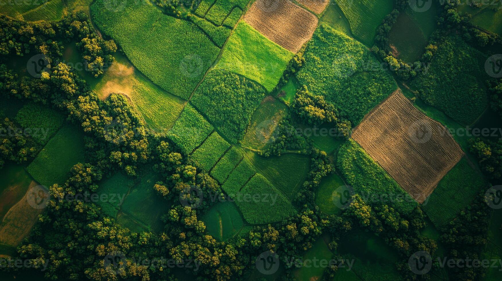 Satellite technology captures detailed views of diverse agricultural fields and forest patches, enabling advanced monitoring and surveillance of land usage and vegetation change. photo