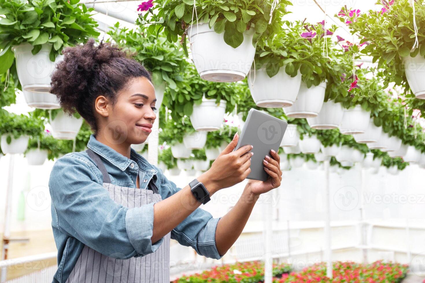 Blooming greenhouse in daylight. Smiling african american young woman holding tablet in hands and making photo, for blog, free space photo