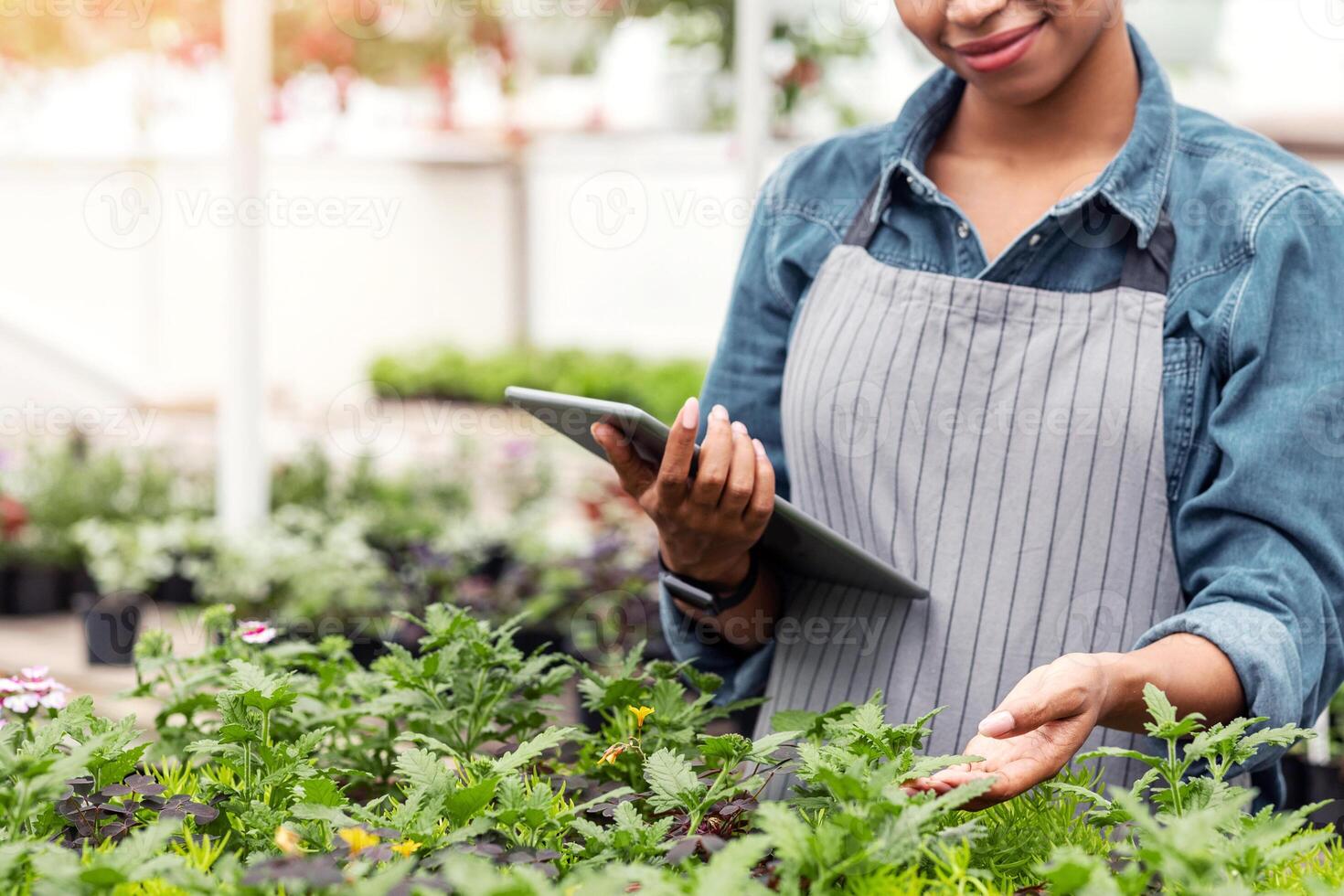 Checking the growth in greenhouse. Smiling african american girl in apron with tablet caring for flowers, free space photo