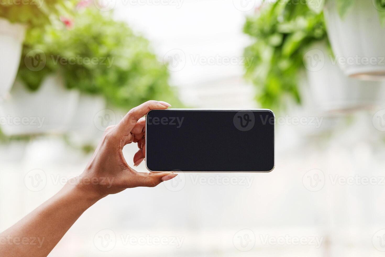 Agribusiness and floristry. African american girl makes photo of orangery plants in pots, hanging from ceiling in daylight blurred background, free space