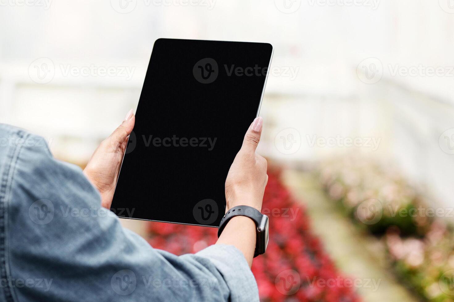 Innovation in farming. African american girl controls functions of greenhouse with tablet with blank screen, on flower plantation, free space photo