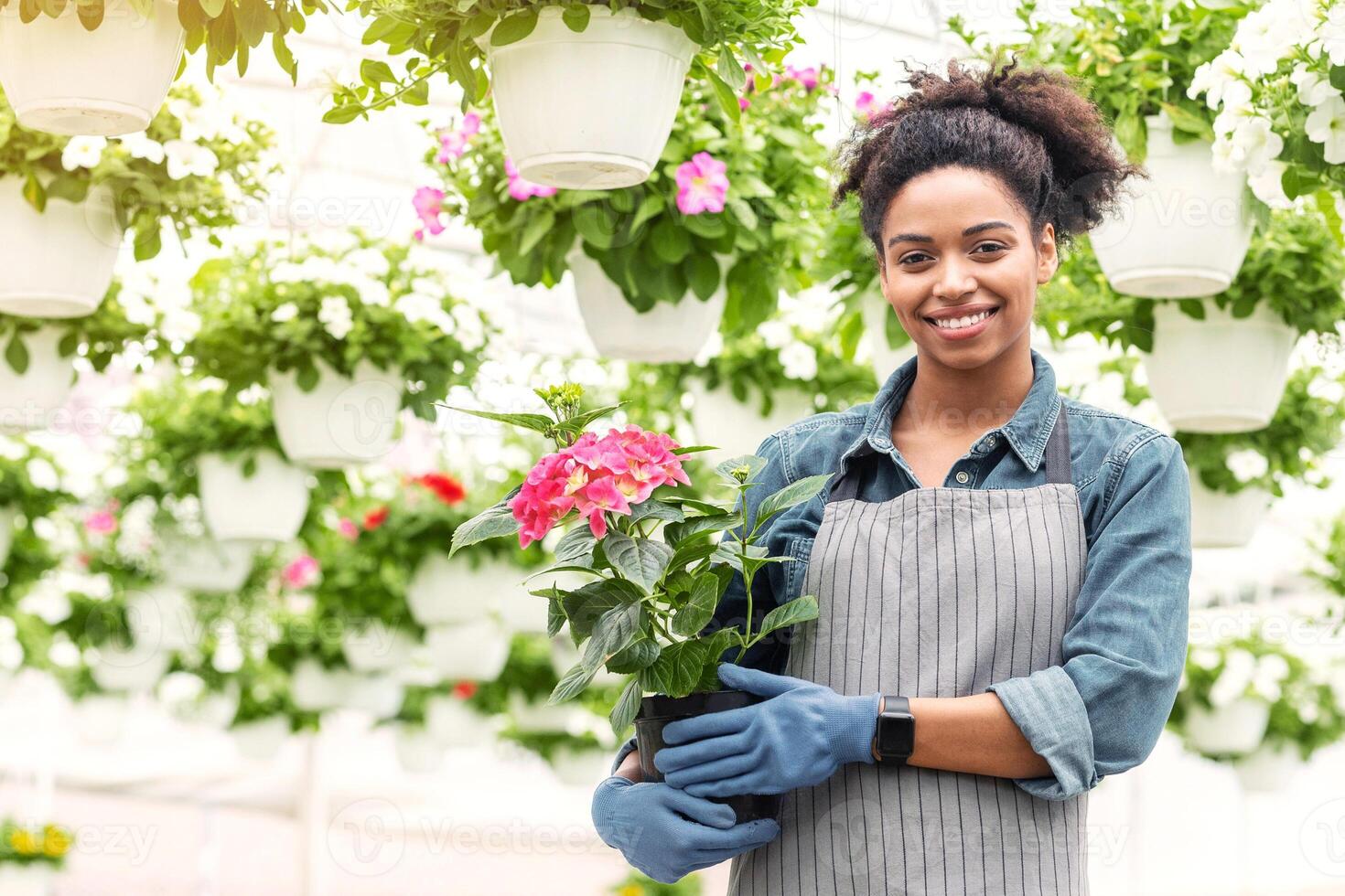 Flower business. Happy african american woman farmer holding pink flowers in her hands in greenhouse interior, free space photo