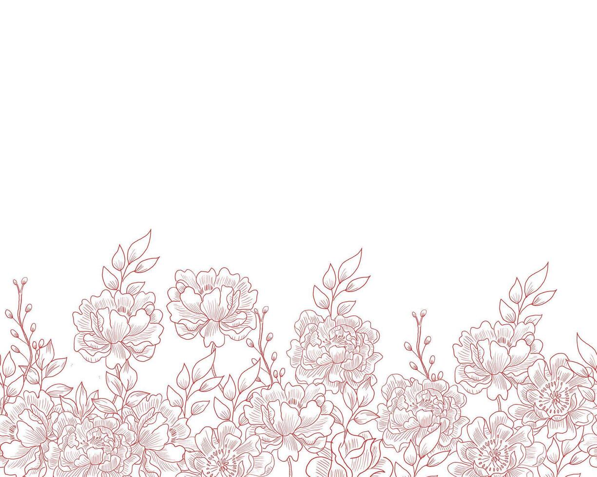 Hand Drawn Peony Rose Flower Background vector