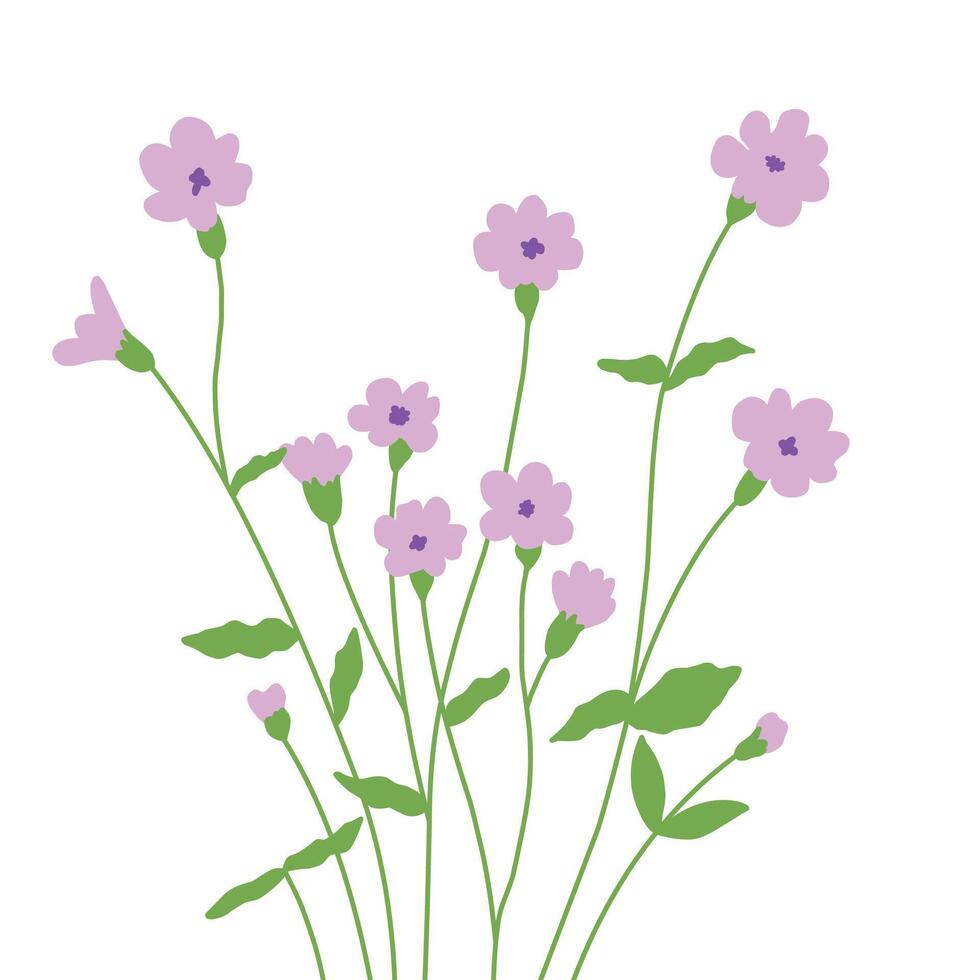 The elegance of purple lilies in the meadow vector