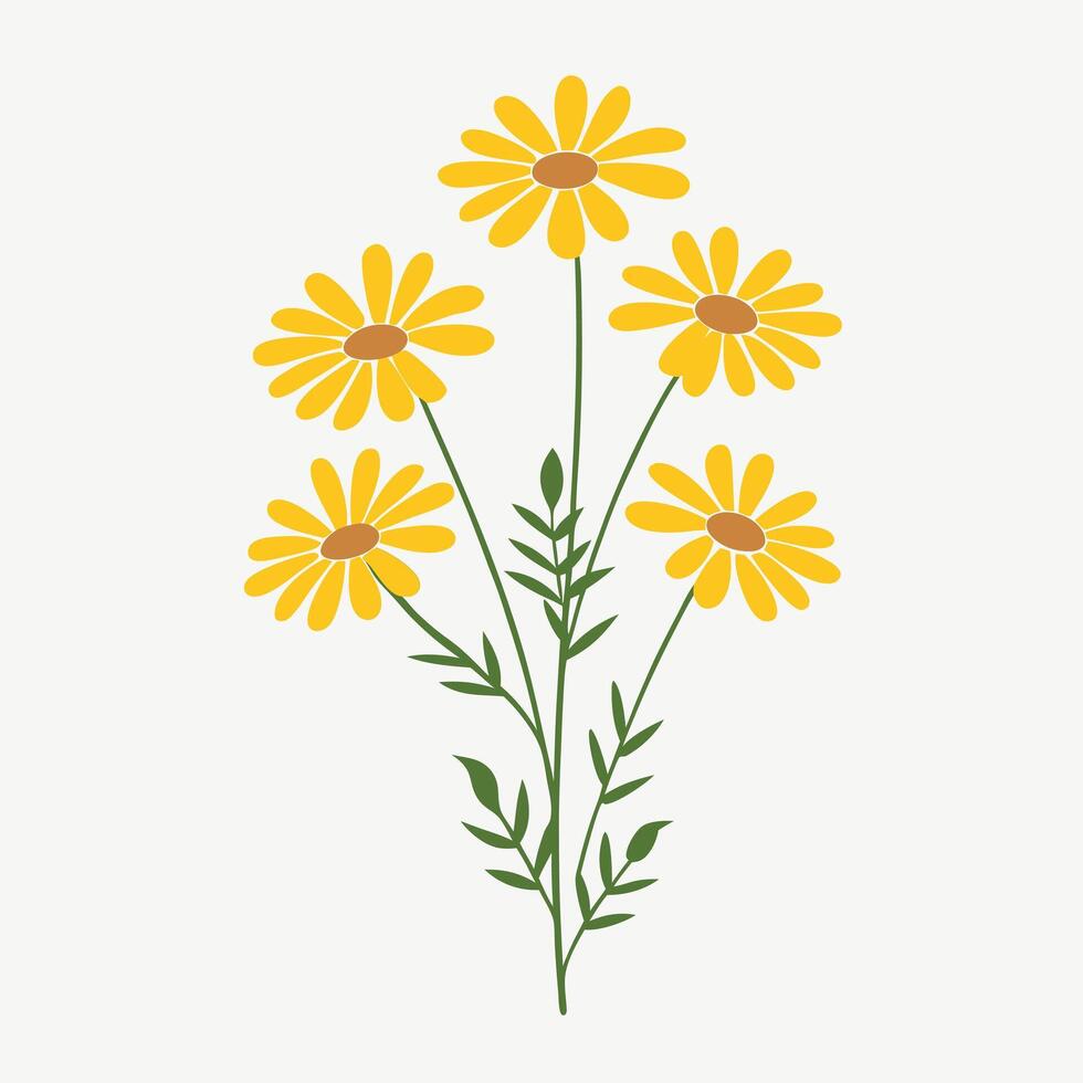 Yellow daisy flowers for a simple botanical art. vector