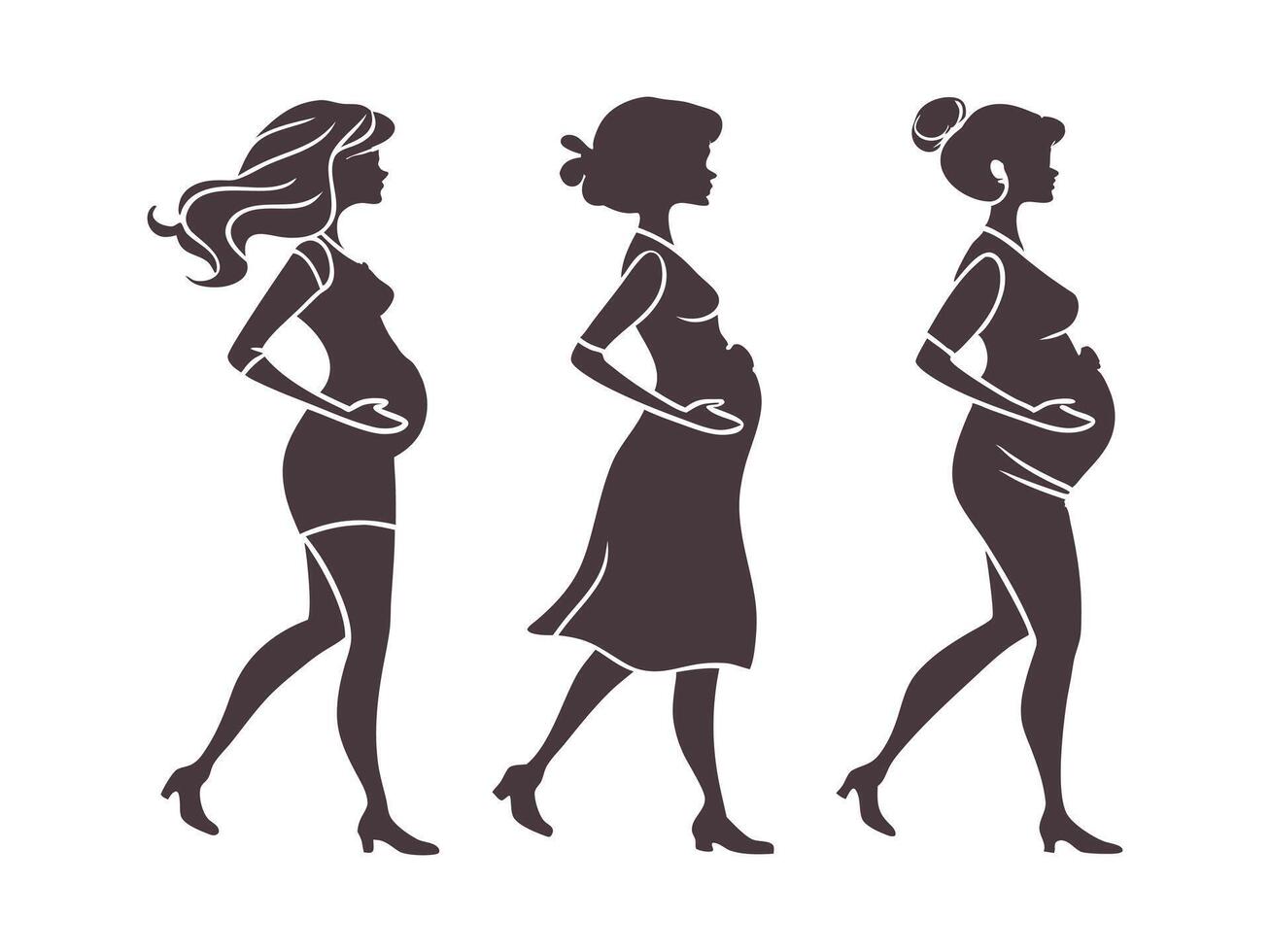 From Bump to Birth A Visual Guide in Silhouettes vector