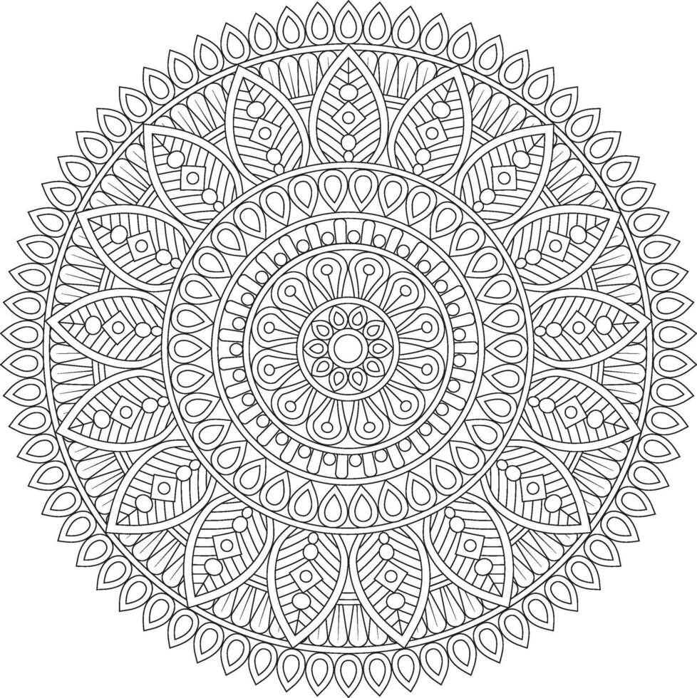 Leaf and Petal Mandala with Delicate Details Black and White vector