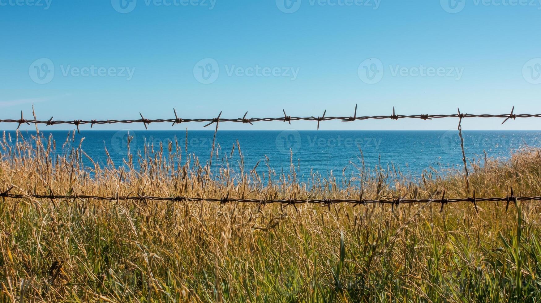 A barbed wire fence with a view of the ocean photo