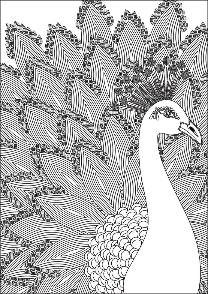 Peacock Coloring For Adults Illustrations vector