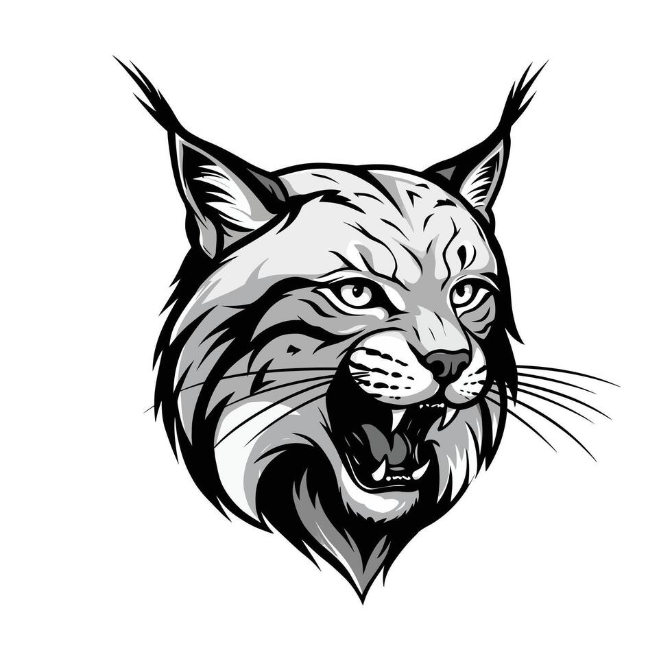 Lynx head, illustration vector