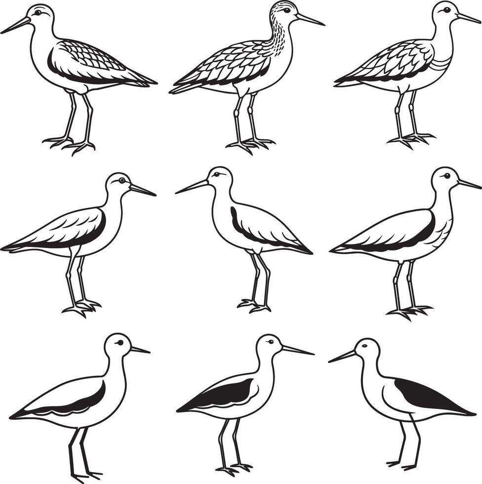sandpiper birds line art icon set vector