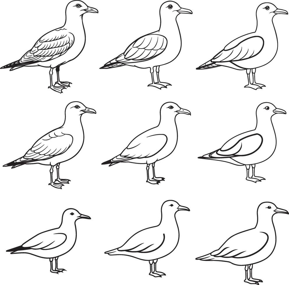 Seagull bird line art design vector