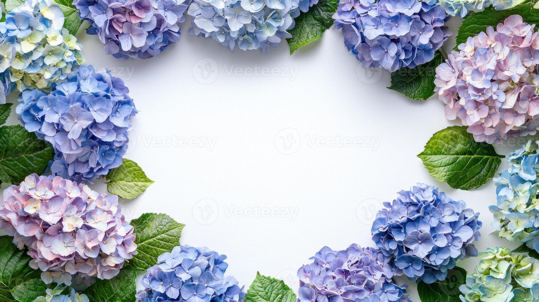 A circle of blue and purple flowers on a white background photo