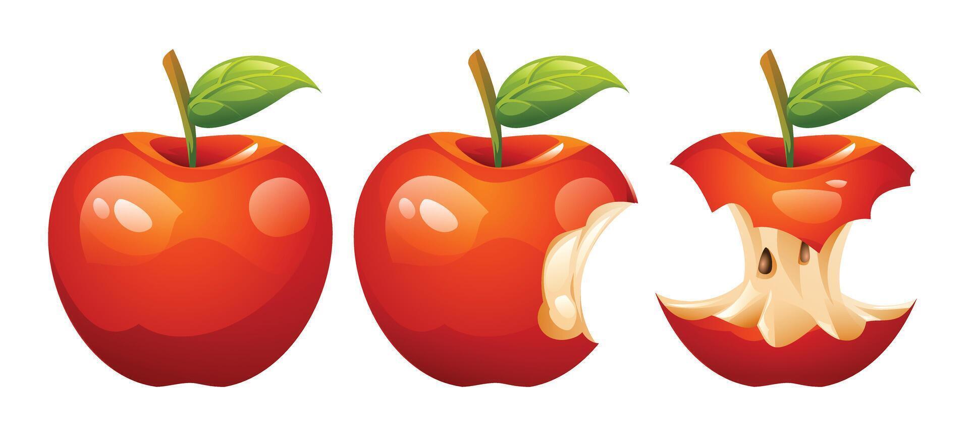 Set of cartoon apple illustrations showing whole and bitten apples with seeds. Illustration vector