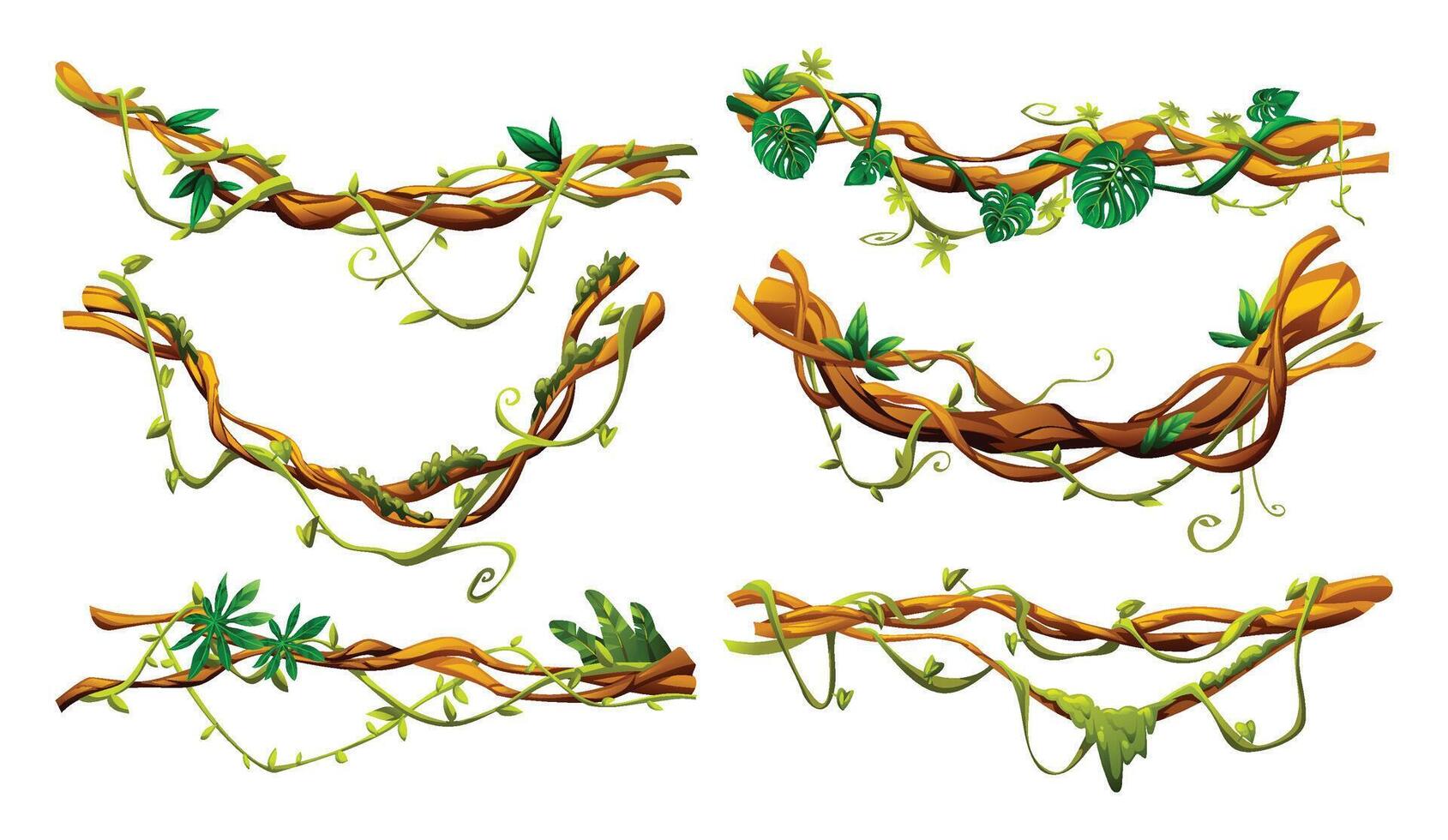 Set of jungle liana vine designs with leaves and natural elements. Perfect for nature themed designs. Cartoon illustration vector