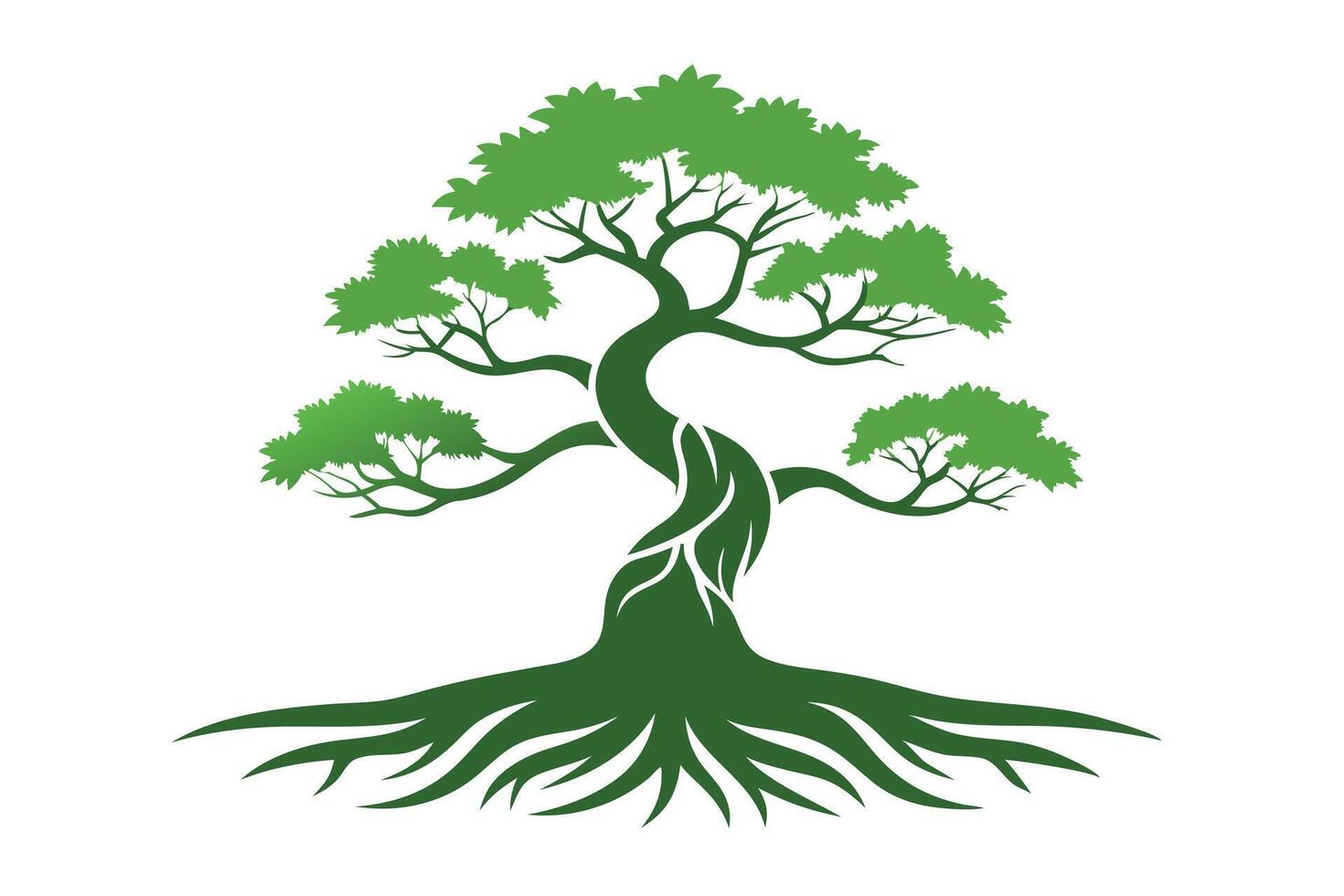 Elegant Bonsai Tree Silhouette Against a White Background vector