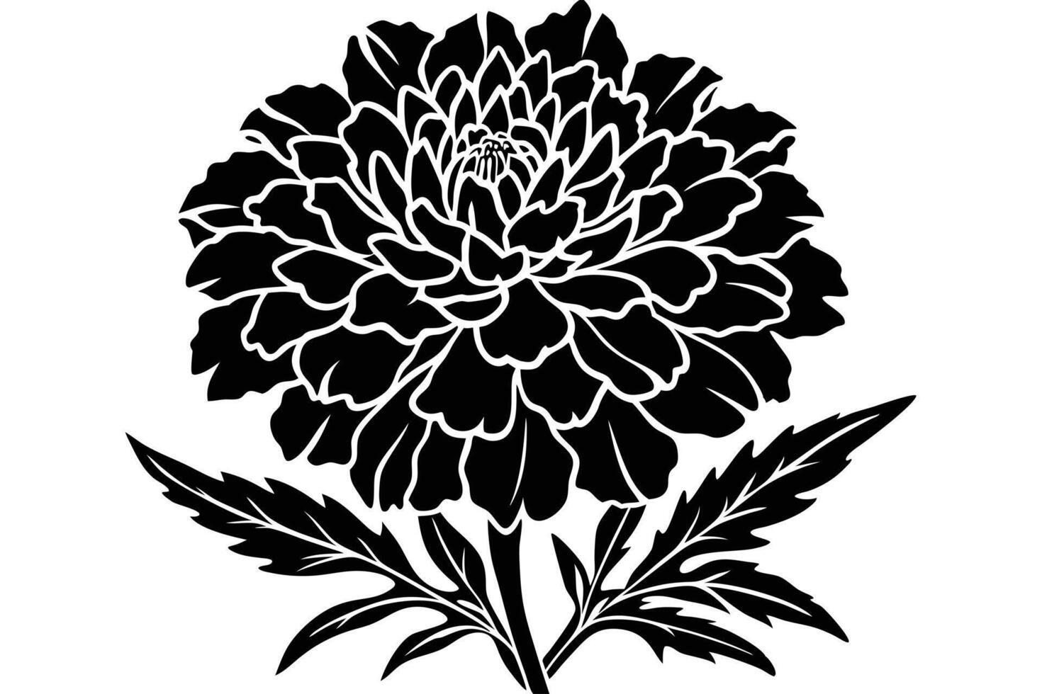 A Elegant Black Silhouette of a Marigold Flower vector