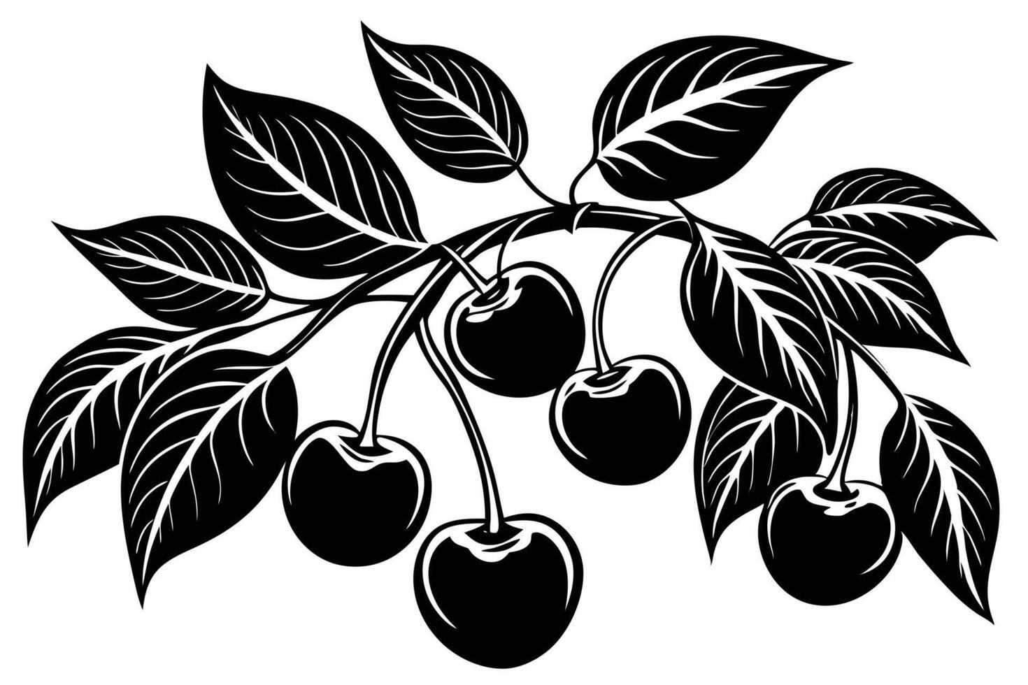 A Vintage Black and White Cherry Branch Illustration vector