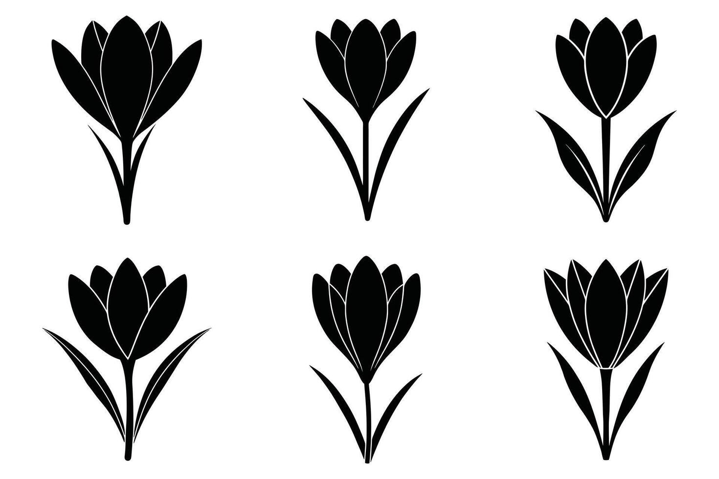 Set of Simple Black and White Crocus Flower Icons vector