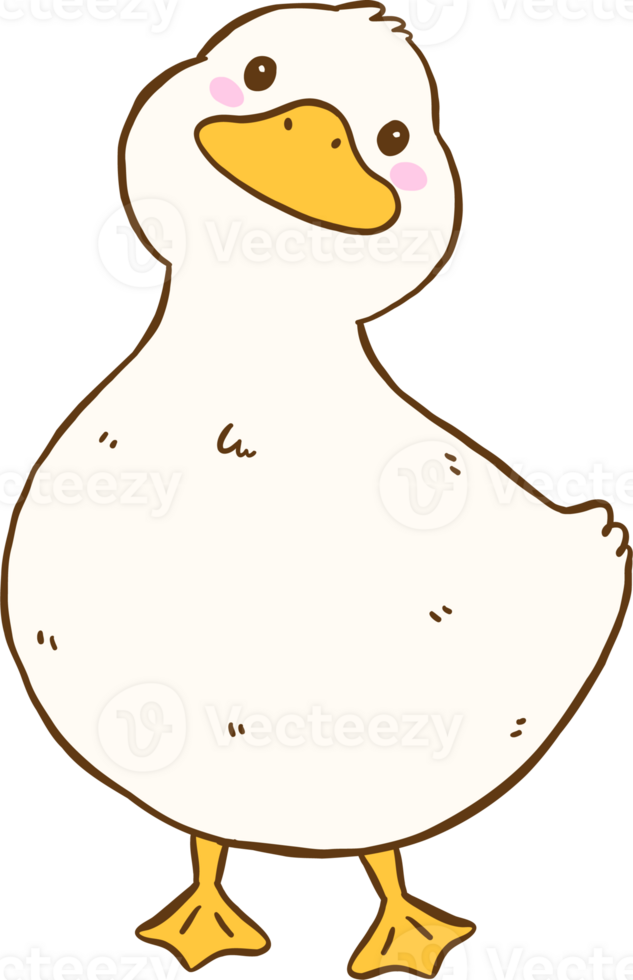 Cute Cartoon White Duck Front Standing Hand Drawn Doodle png
