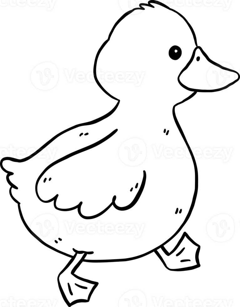 Cute Cartoon Duck Outline Black and White Walking Hand Drawn Doodle png