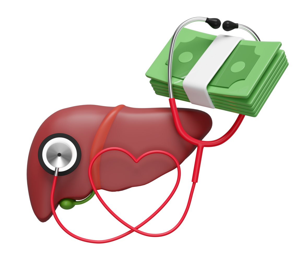 3d realistic human liver with stethoscope, banknote stack isolated. health check cost concept, 3d illustration render png