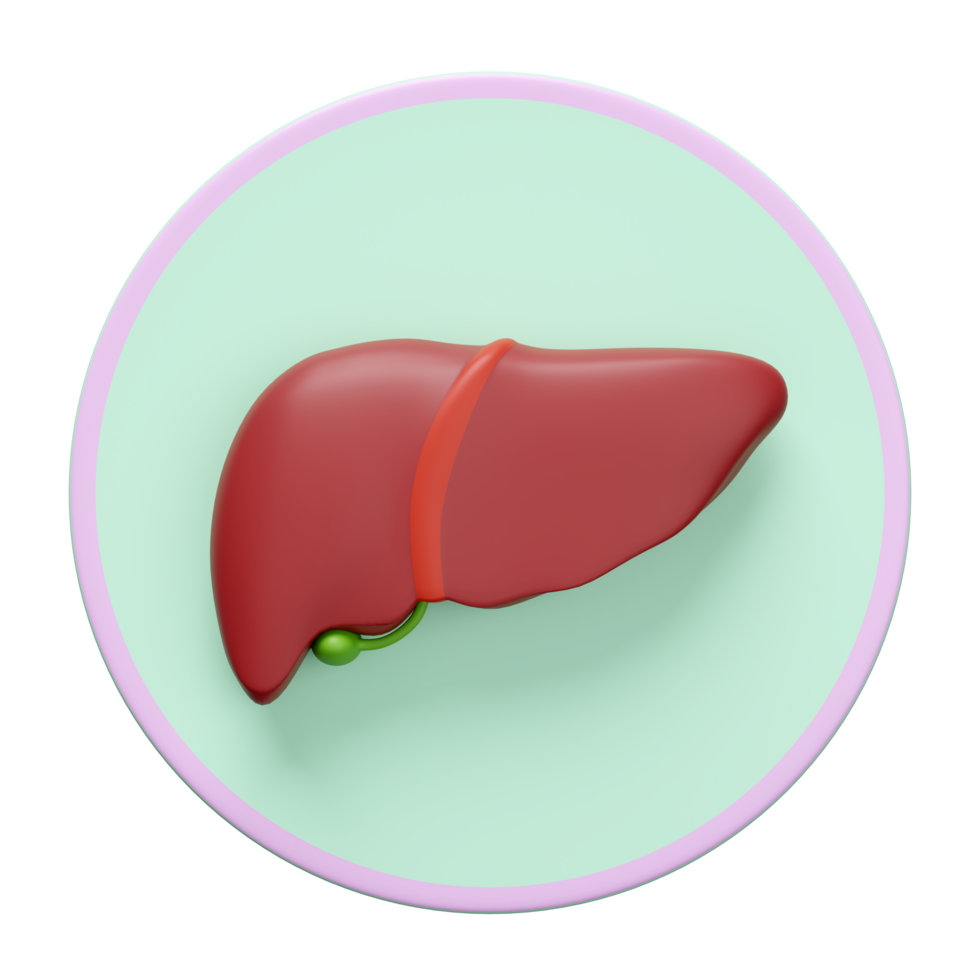 3d realistic human liver icon isolated. organs concept, 3d illustration render png