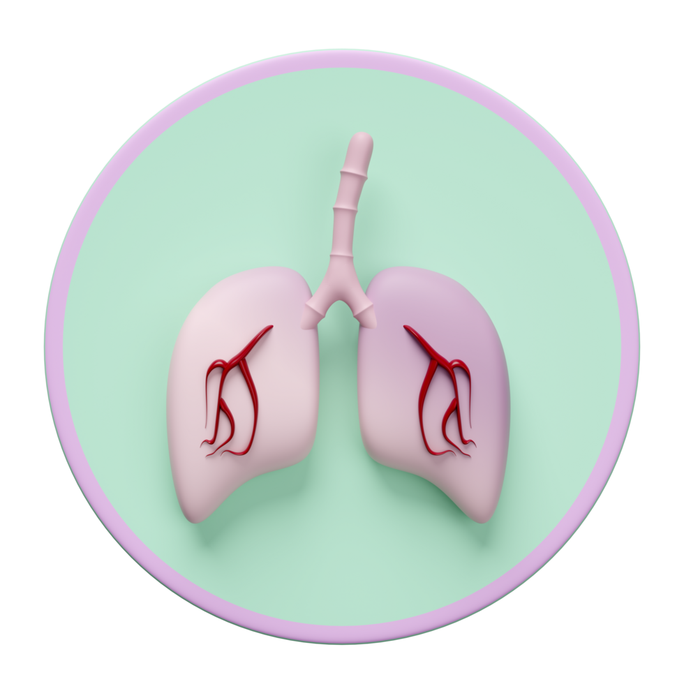 3d lung human realistic icon isolated. 3d illustration render png