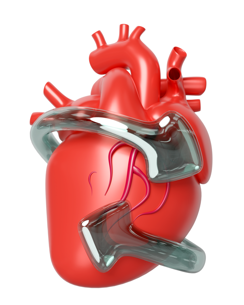 3d realistic human heart with arrow transparent isolated. heart disease prevention, health love, world heart day concept, 3d illustration render png
