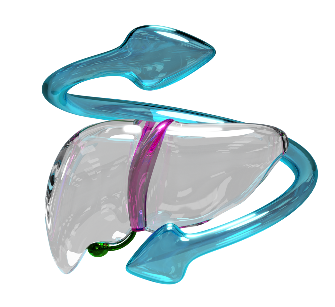 3d realistic human liver with arrow transparent isolated. check liver health, health love, world hepatitis day concept, 3d illustration render png