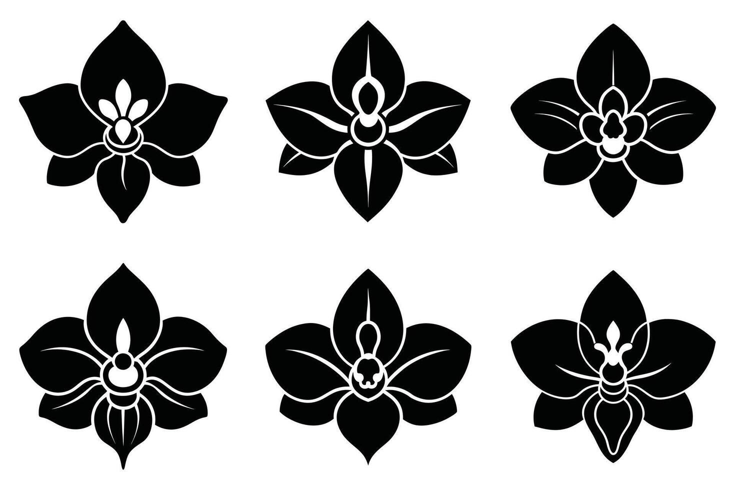 Elegant Black and White Orchid Flower Icons vector