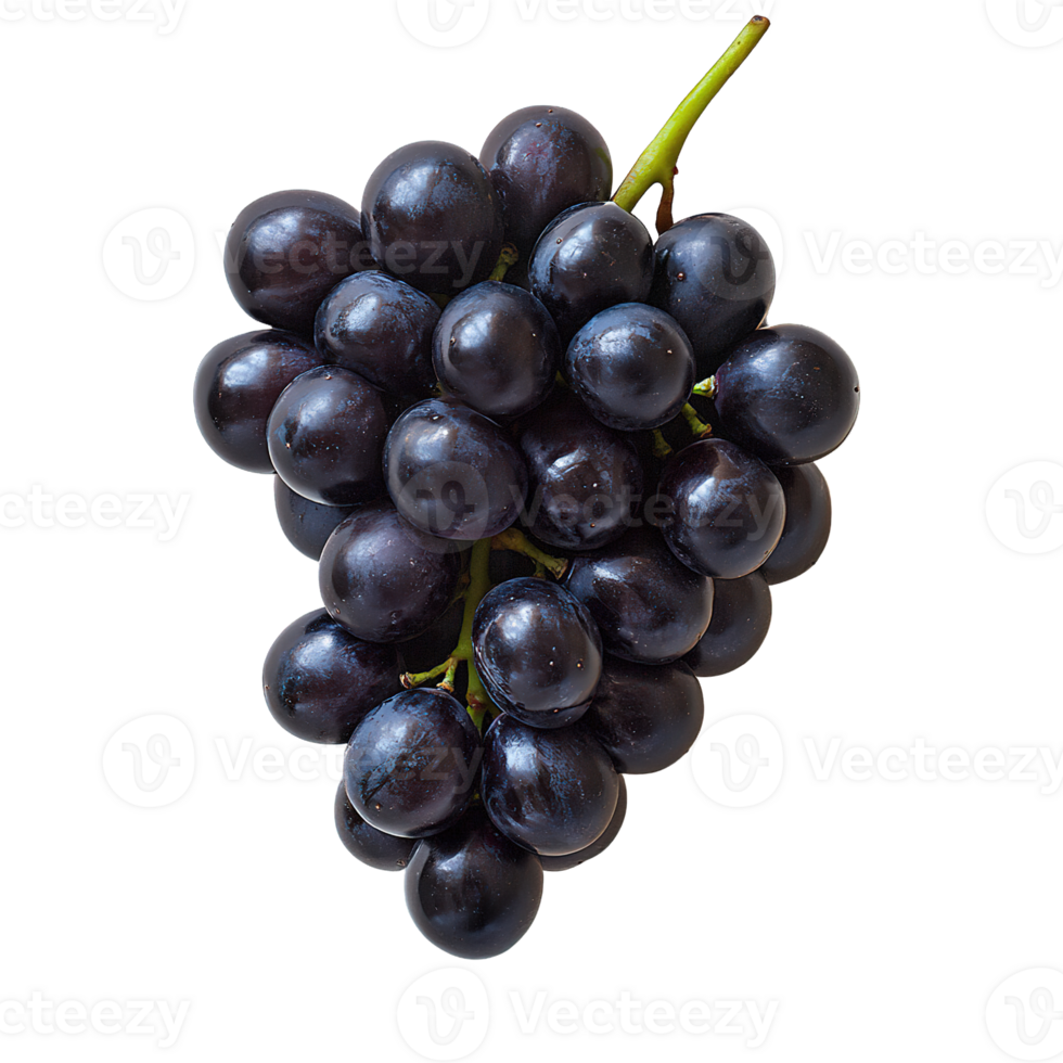 Ripe and Juicy Table Grapes with Deep Purple Shades and Shiny Skin Isolated on Transparent Background png