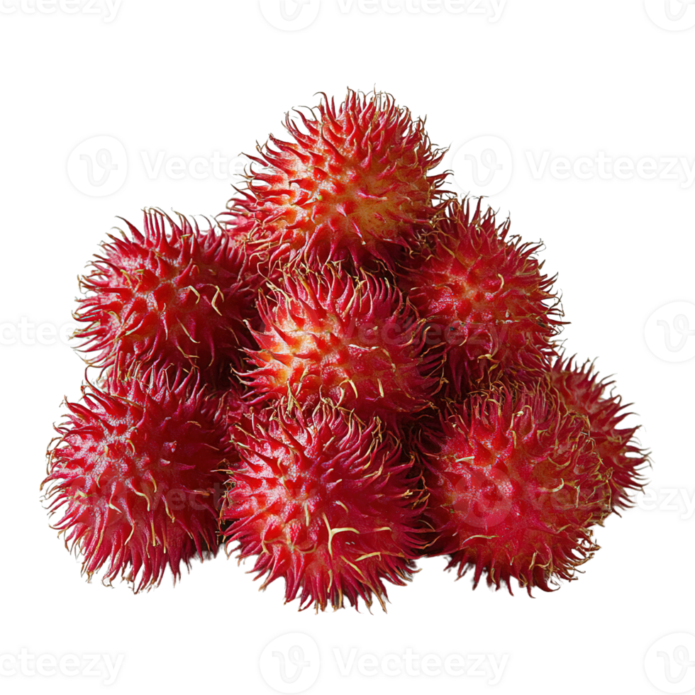 Close-up of fresh rambutan fruits in bunches isolated on transparent background png