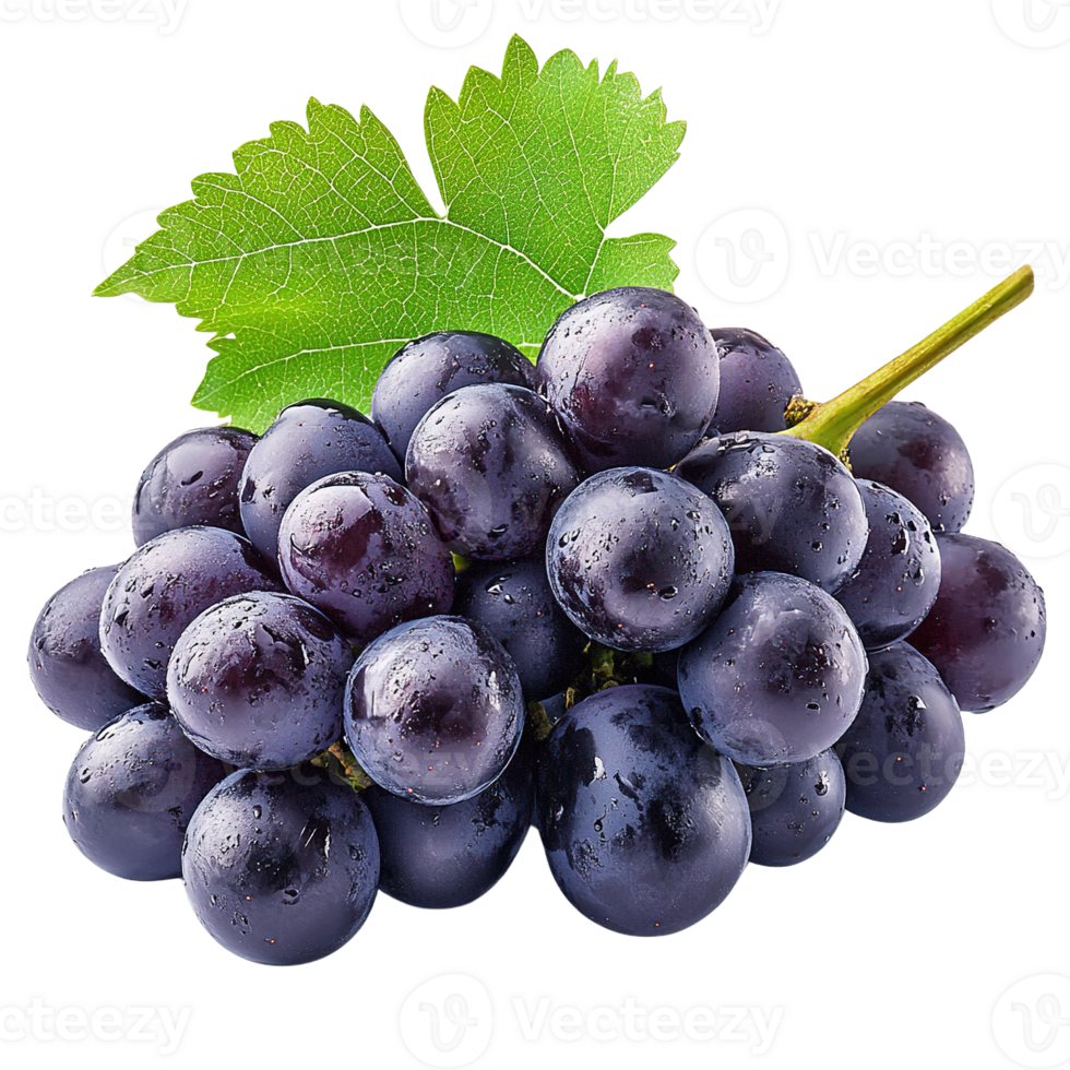 Freshly Harvested Dark Purple Grapes with a Green Stem and Natural Texture Isolated on Transparent Background png