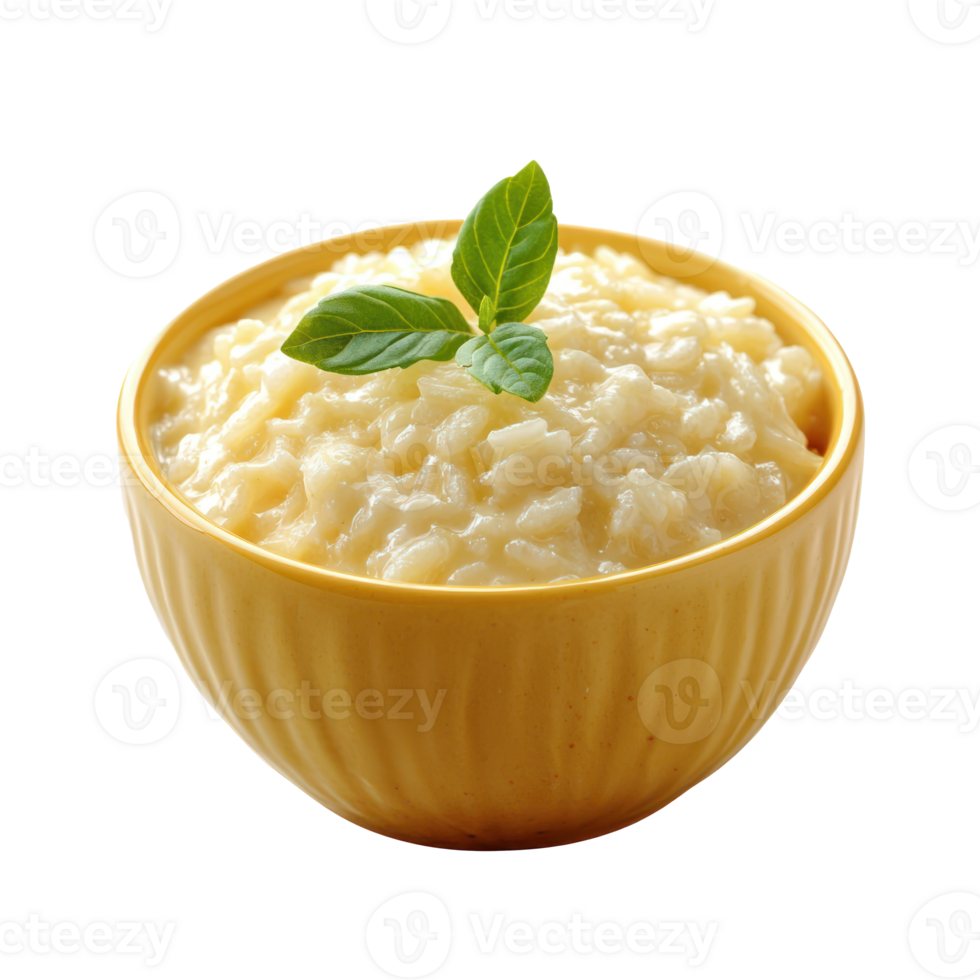 Rice Pudding isolate on transparent background, png