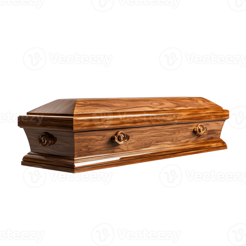 Modern Coffin ,side ,view isolate on transparent background png