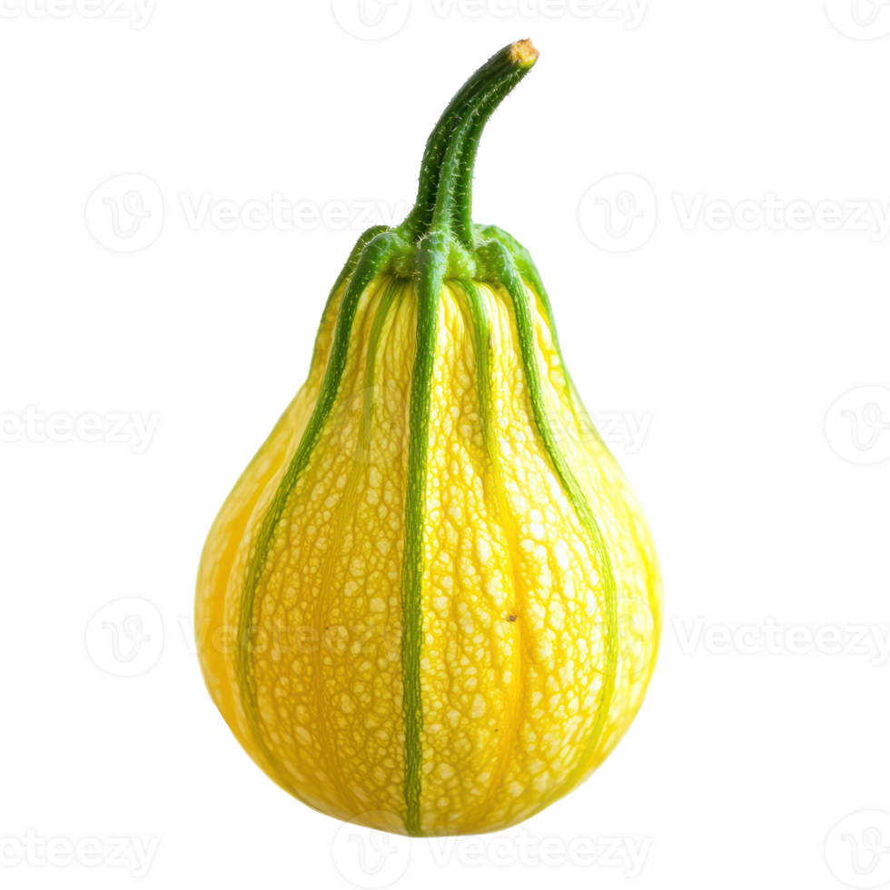a yellow squash on a transparent background png